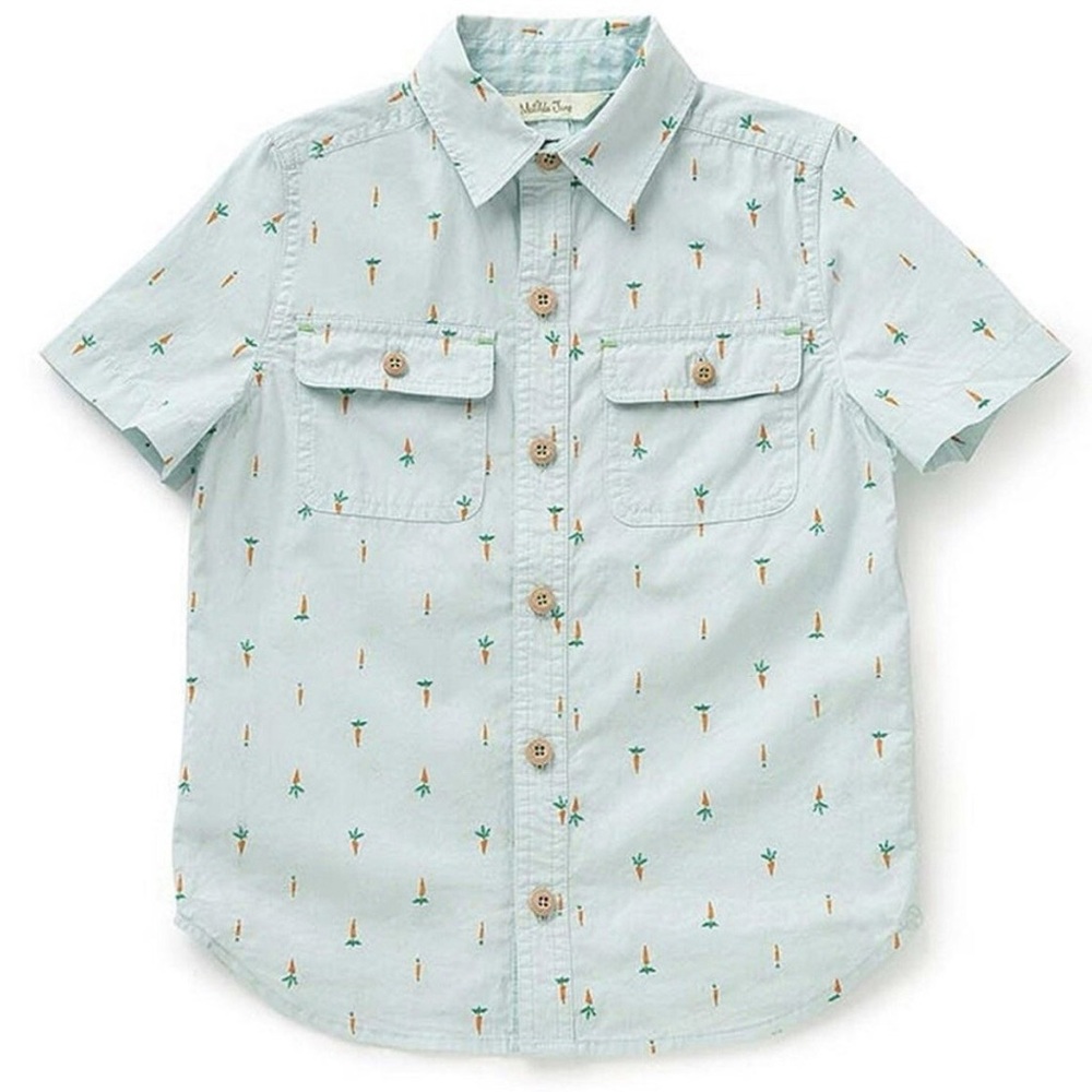 Matilda Jane Mr cottontail shirt